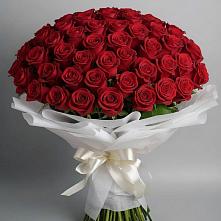 Букет 101 Красная роза Блэк Мэджик в Баклановской Ставропольского края