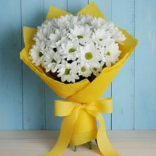 Букет цветов из:  Хризантемы в Баклановской Ставропольского края