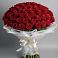 Букет 101 Красная роза Блэк Мэджик в Баклановской Ставропольского края