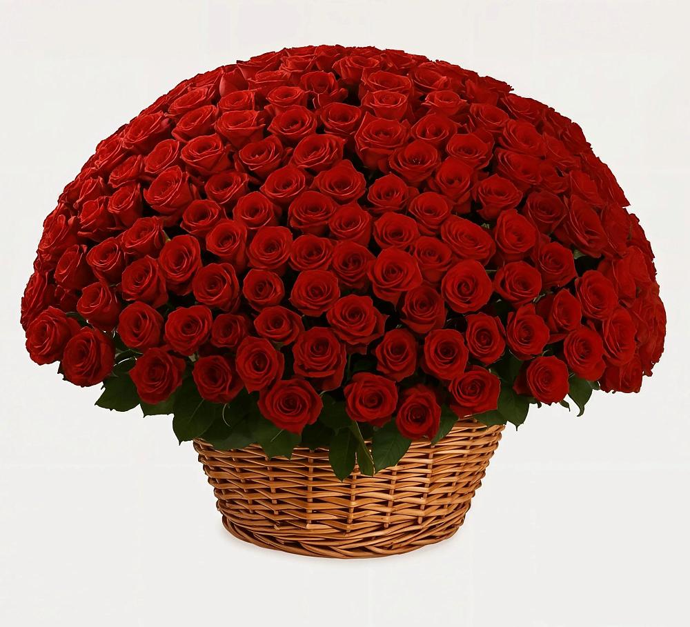 Премиум букет из: Розы в Баклановской Ставропольского края