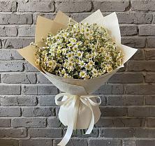Букет цветов из:  Ромашки в Баклановской Ставропольского края