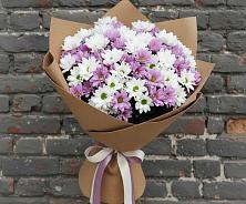 Букет цветов из:  Хризантемы в Баклановской Ставропольского края