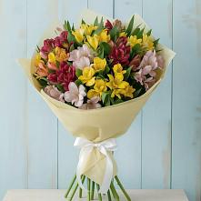 Букет цветов из:  Альстромерии в Баклановской Ставропольского края