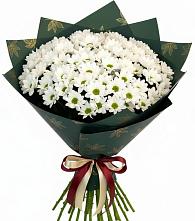 Букет цветов из:  Хризантемы в Баклановской Ставропольского края