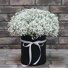 Цветочная композиция из Гипсофила в шляпной коробке в Баклановской Ставропольского края