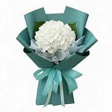 Букет цветов из:  Гортензия в Баклановской Ставропольского края
